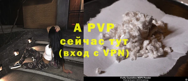 дживик Липки
