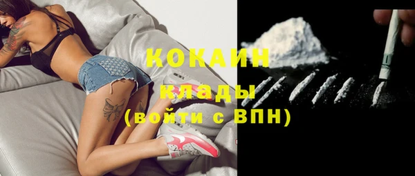 ПСИЛОЦИБИНОВЫЕ ГРИБЫ Лихославль