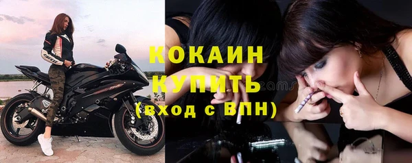 дживик Липки