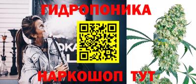2c-b Новодвинск