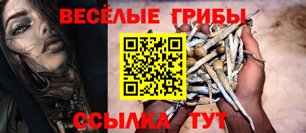 Псилоцибиновые грибы мухоморы Южноуральск