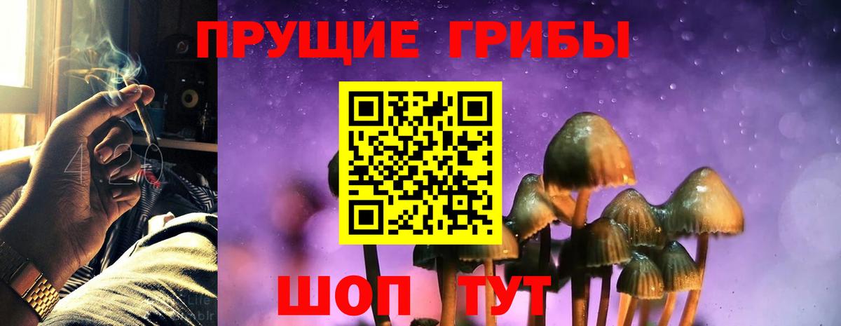 Южноуральск  Галлюциногенные грибы мухоморы  Галлюциногенные грибы мухоморы  Вход с VPN 